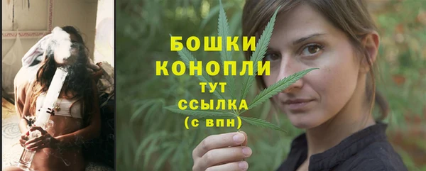 ГАЛЛЮЦИНОГЕННЫЕ ГРИБЫ Покачи