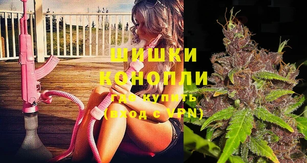ГАЛЛЮЦИНОГЕННЫЕ ГРИБЫ Покачи