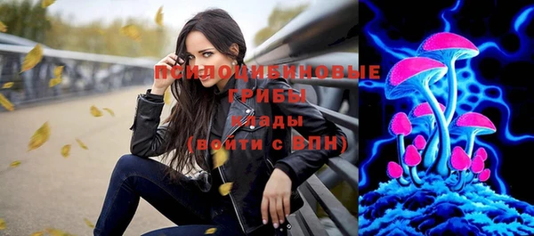 ГАЛЛЮЦИНОГЕННЫЕ ГРИБЫ Покачи