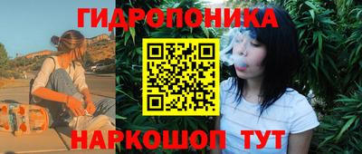 Альфа ПВП Канаш