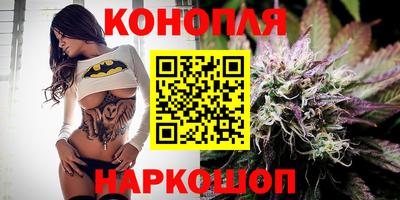 Альфа ПВП Канаш