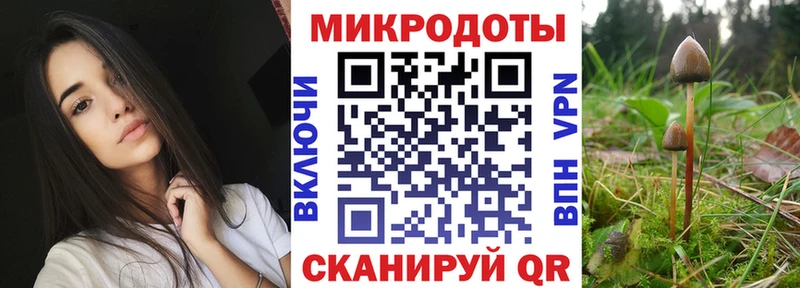 что такое наркотик  Ревда  Псилоцибиновые грибы Psilocybe 