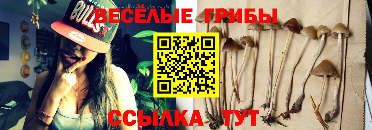 Галлюциногенные грибы мухоморы  Вход с VPN  Ревда  Галлюциногенные грибы GOLDEN TEACHER 