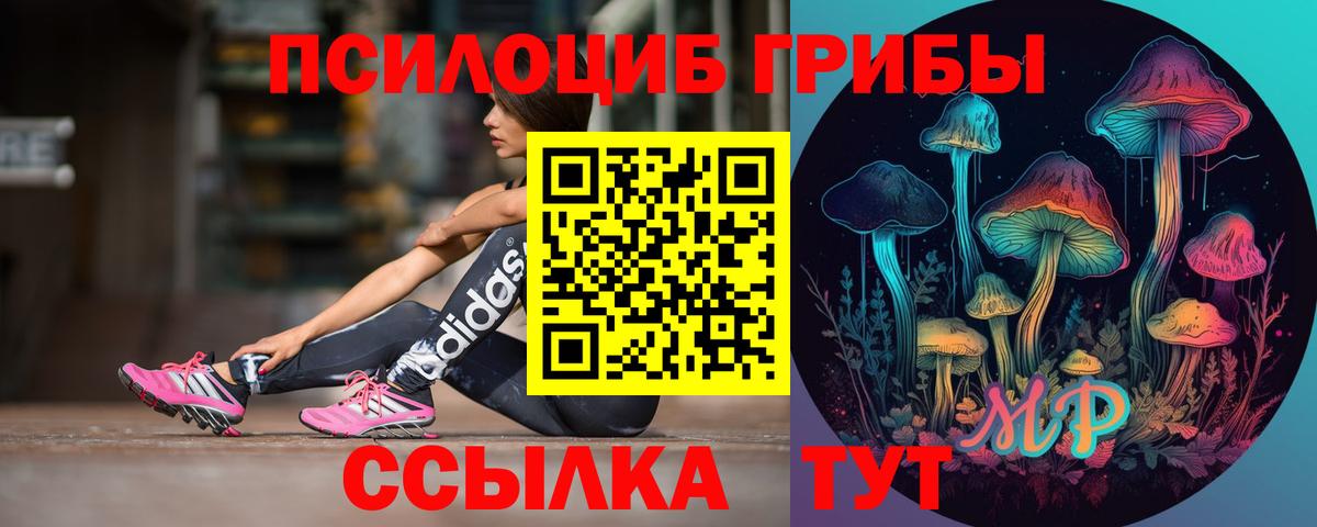 Галлюциногенные грибы GOLDEN TEACHER Ревда